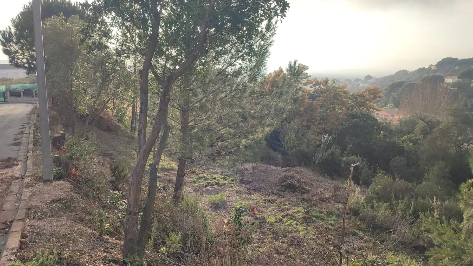Terreny residencial en venda a Avinguda de la Senyera