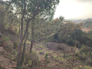 Terreno residencial en venta en Avinguda de la Senyera
