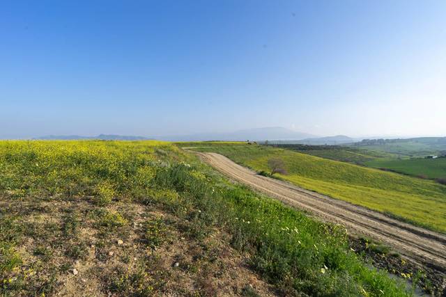 Terreno en Venta en Casalpalma - Fahala