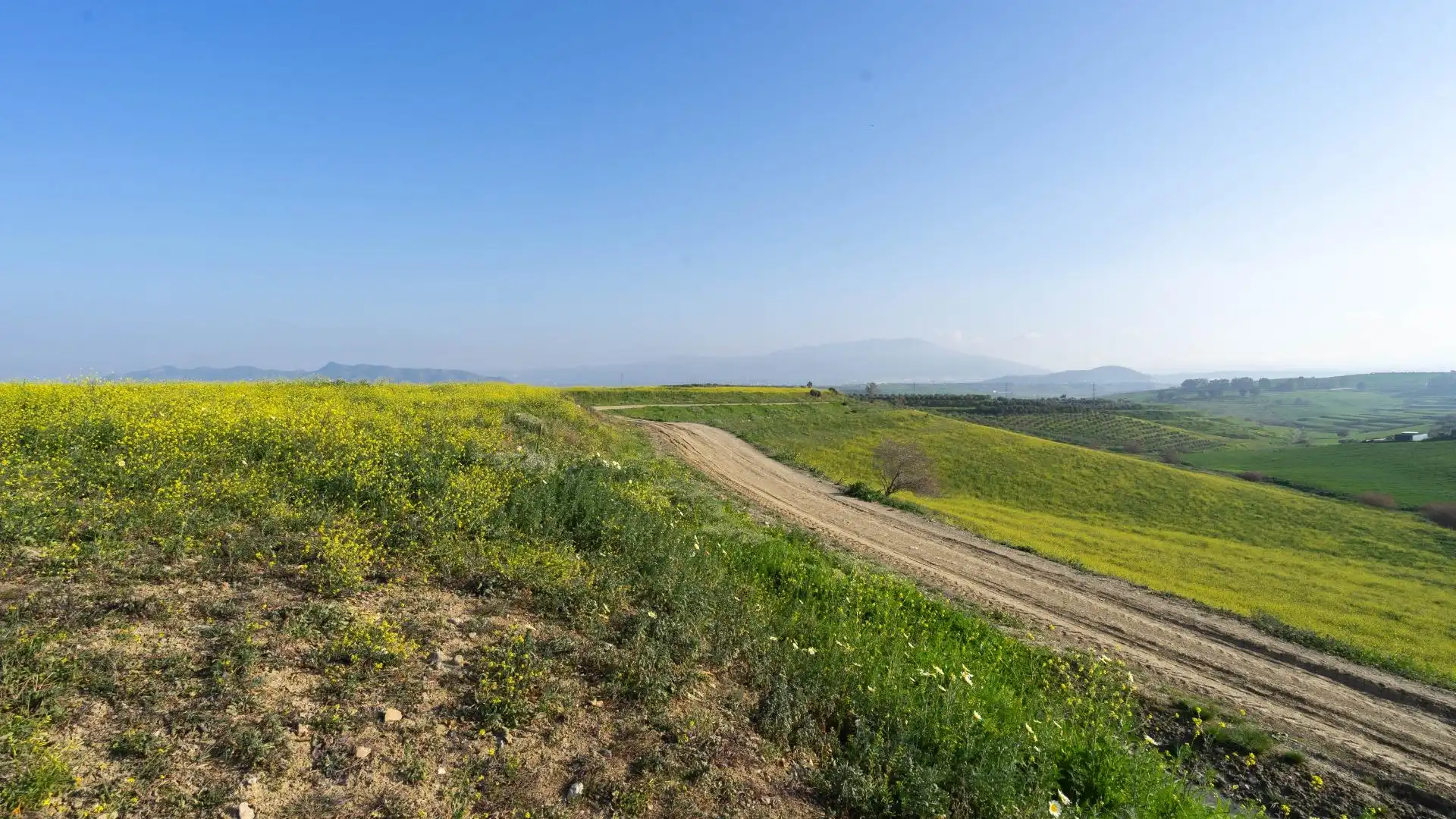 Terreno en venta en Cártama