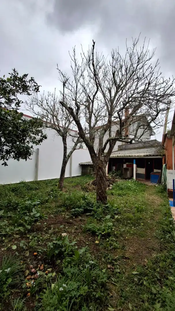 Garden of Houses for sale in Boiro  with Private garden and Storage room