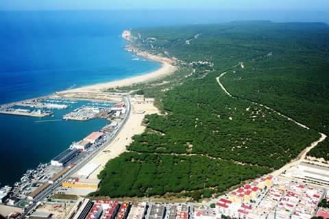 Local comercial en Alquiler en La Barrosa