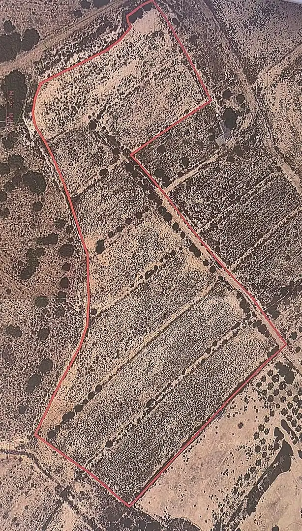 Terrain rustique à vendre à El Altet, imagen 8