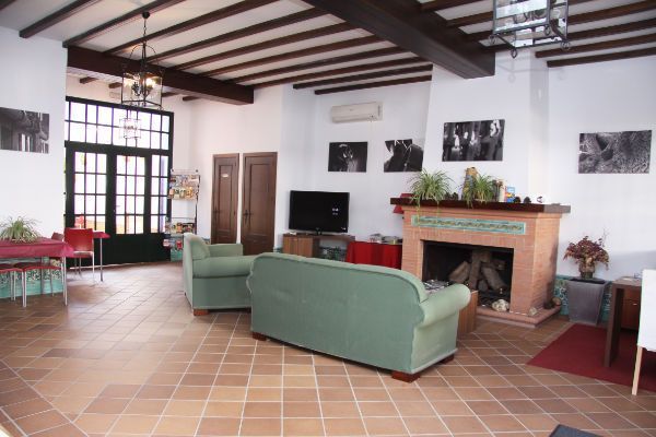Sala d'estar de Edifici en venda en Almonte