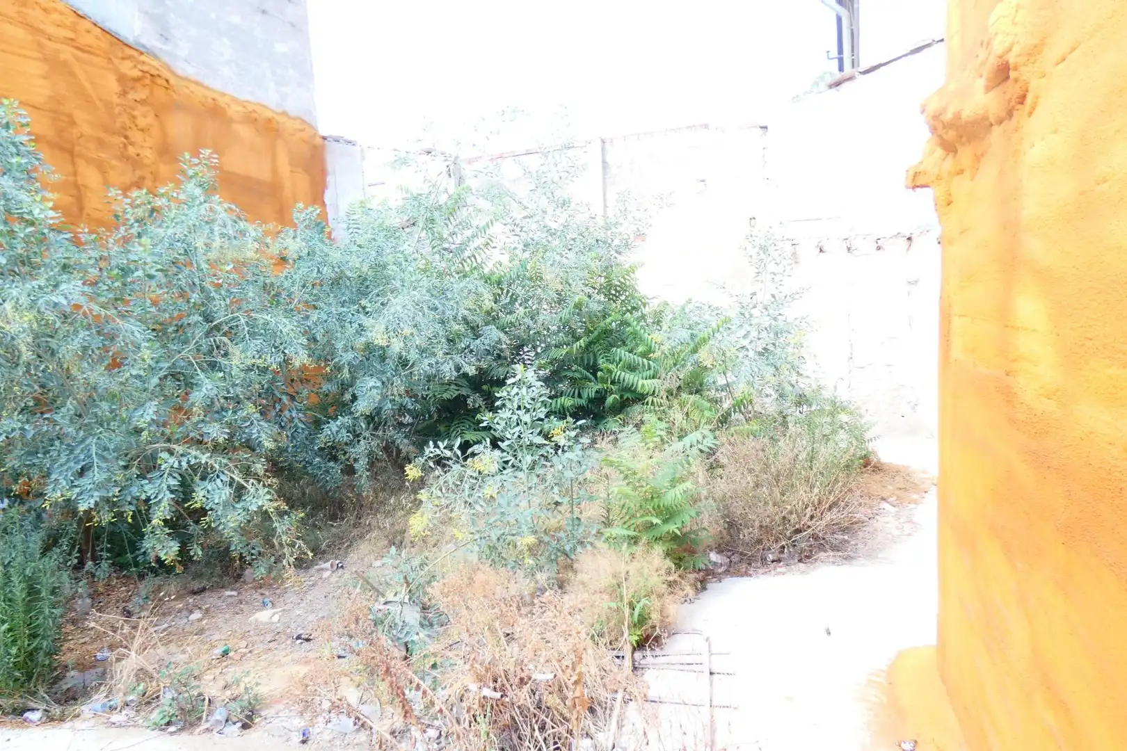 Terrain résidentiel à vendre à Centro, imagen 3
