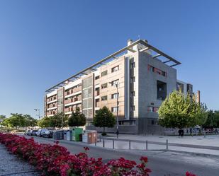 Vista exterior de Pis en venda en Armilla amb Terrassa