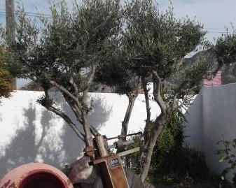 Foto 5 de Casa o xalet en venda a Torreagüera, Murcia