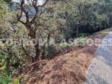 Residential land for sale in Canyelles