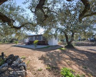 Jardí de Finca rústica en venda en Freginals amb Aire condicionat, Jardí privat i Terrassa