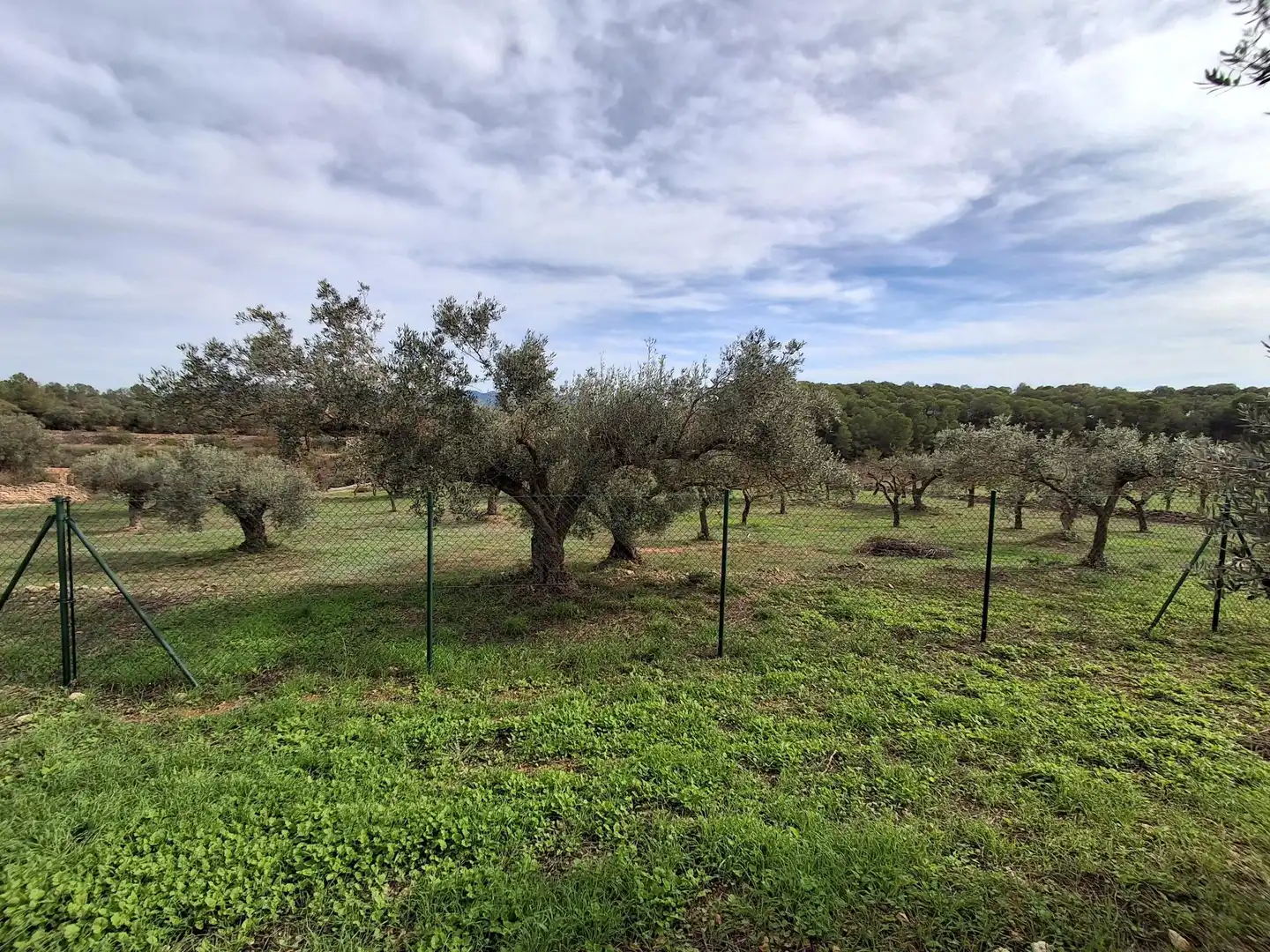 Finca rústica en venta en Rasquera