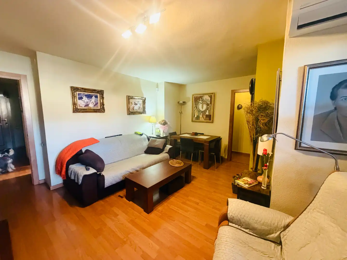 Sala de estar de Piso en venta en Lleida con Aire acondicionado, Calefacción y Parquet