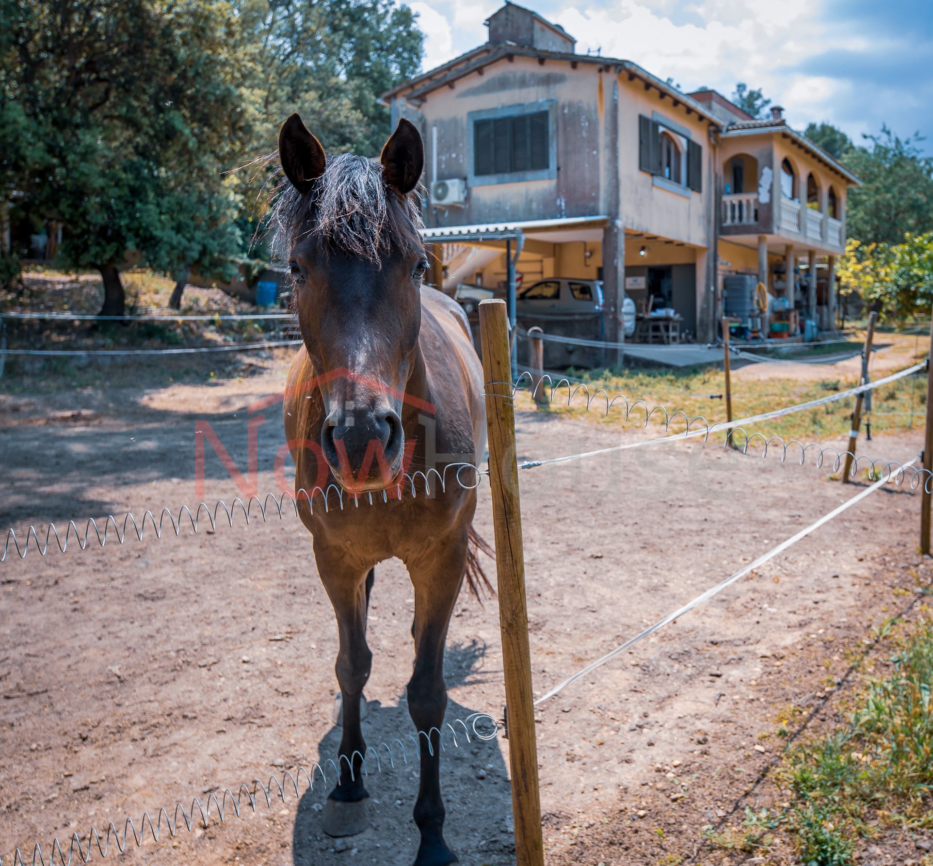 Finca rústica en venda a Diseminado Diseminados, 5004, Lloret de Vistalegre