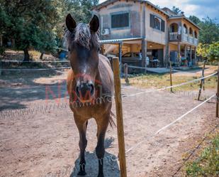 Finca rústica en venda a N/A, -1, Lloret de Vistalegre