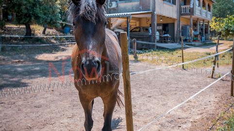 Foto 2 de Finca rústica en venta en Diseminado Diseminados, 5004, Lloret de Vistalegre, Illes Balears