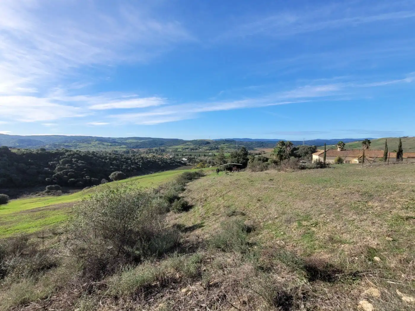 Casa o chalet en venta en Plaza Constitución, San Martín del Tesorillo