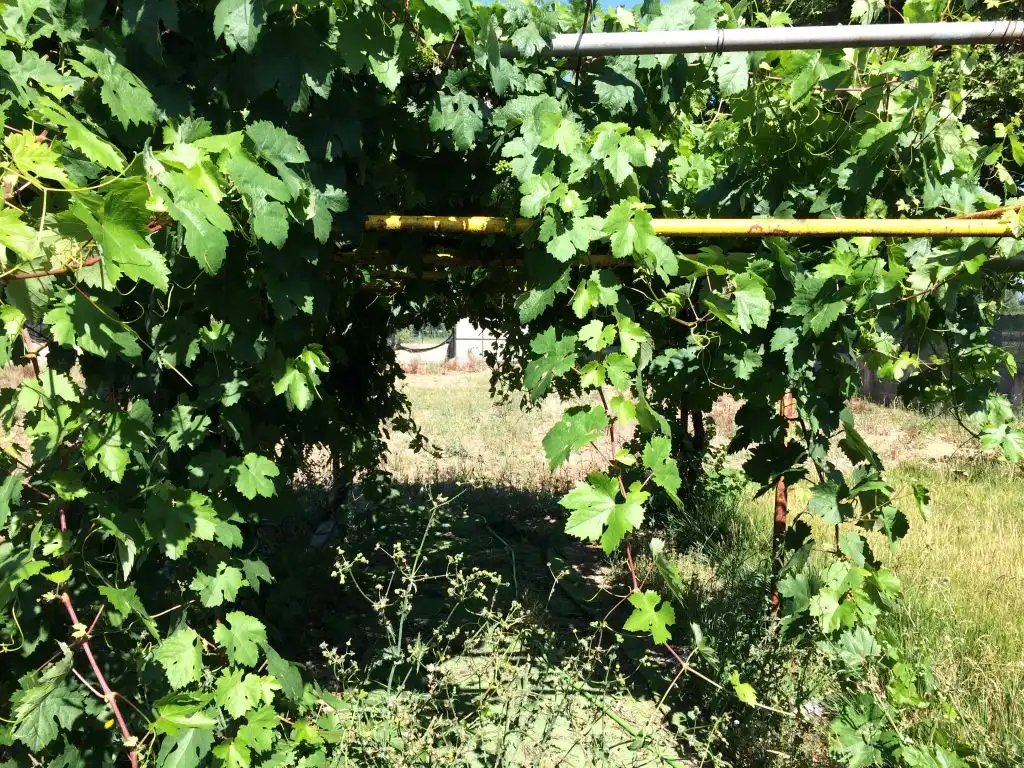 Finca rústica en venta en Cubillos del Sil con Jardín privado, Terraza y Amueblado