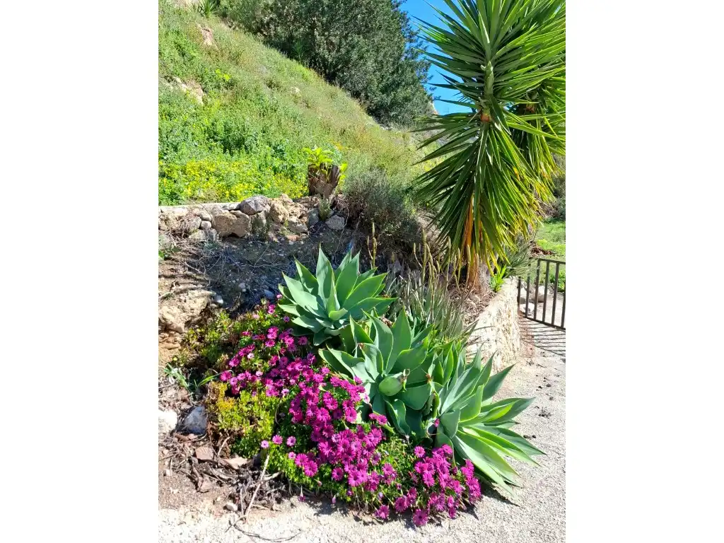 Jardín de Finca rústica en venta en Xirles