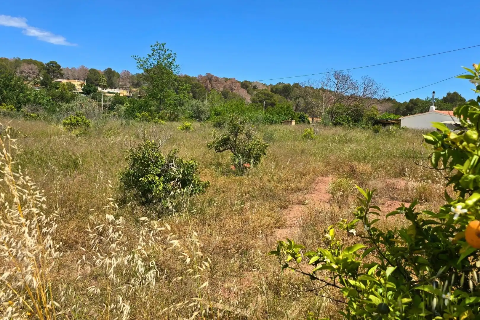 Terrenos y solares en venta en Escandinavia - Cautivador, imagen 14