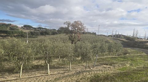Immagine 2 dell'annuncio