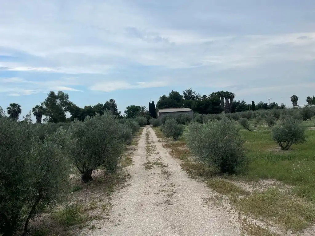 Terreno rustico in vendita a Dolores, imagen 21