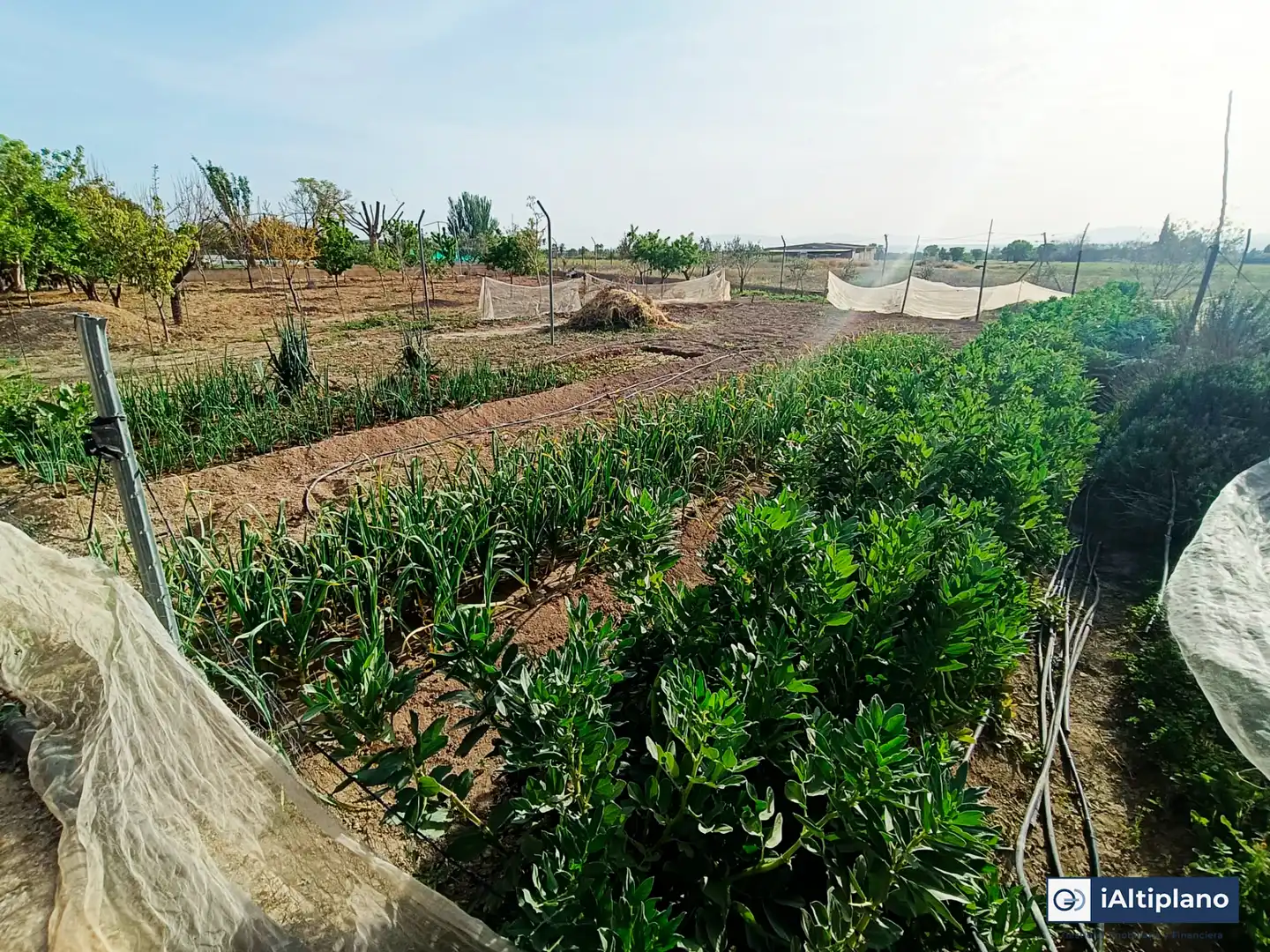 Casa o xalet en venda en Baza amb Jardí privat, Piscina i Moblat