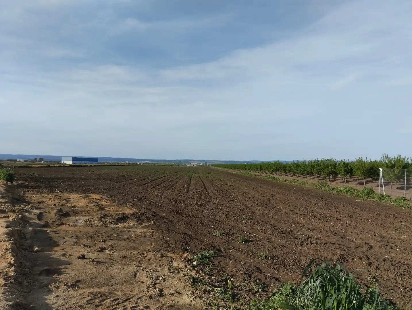 Terreno en venta en Guillena