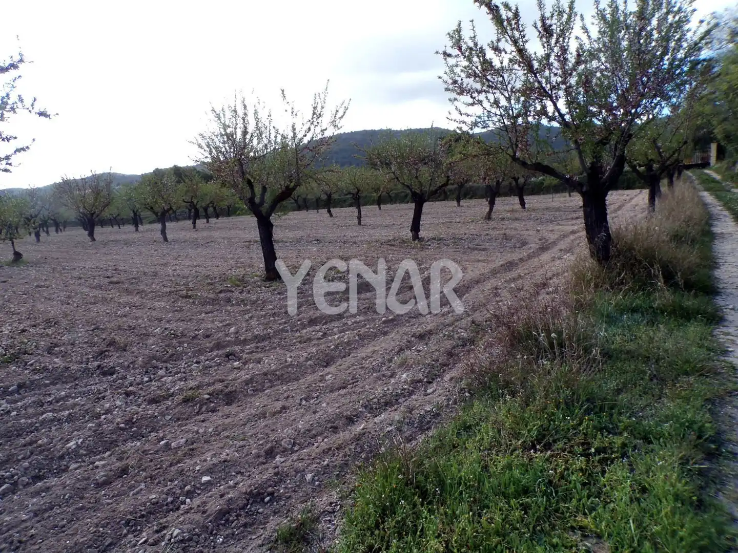 Terrenys i solars en venda a Castalla