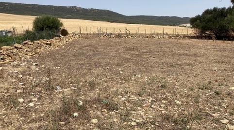 Foto 3 de Finca rústica en venda a Tahivilla, Cádiz
