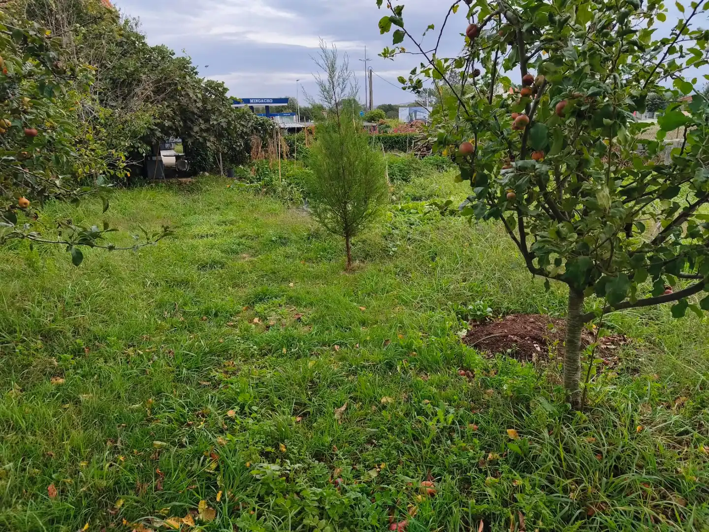Wohnbaugrundstück zum Verkauf in Avenida Malpica 97, imagen 8