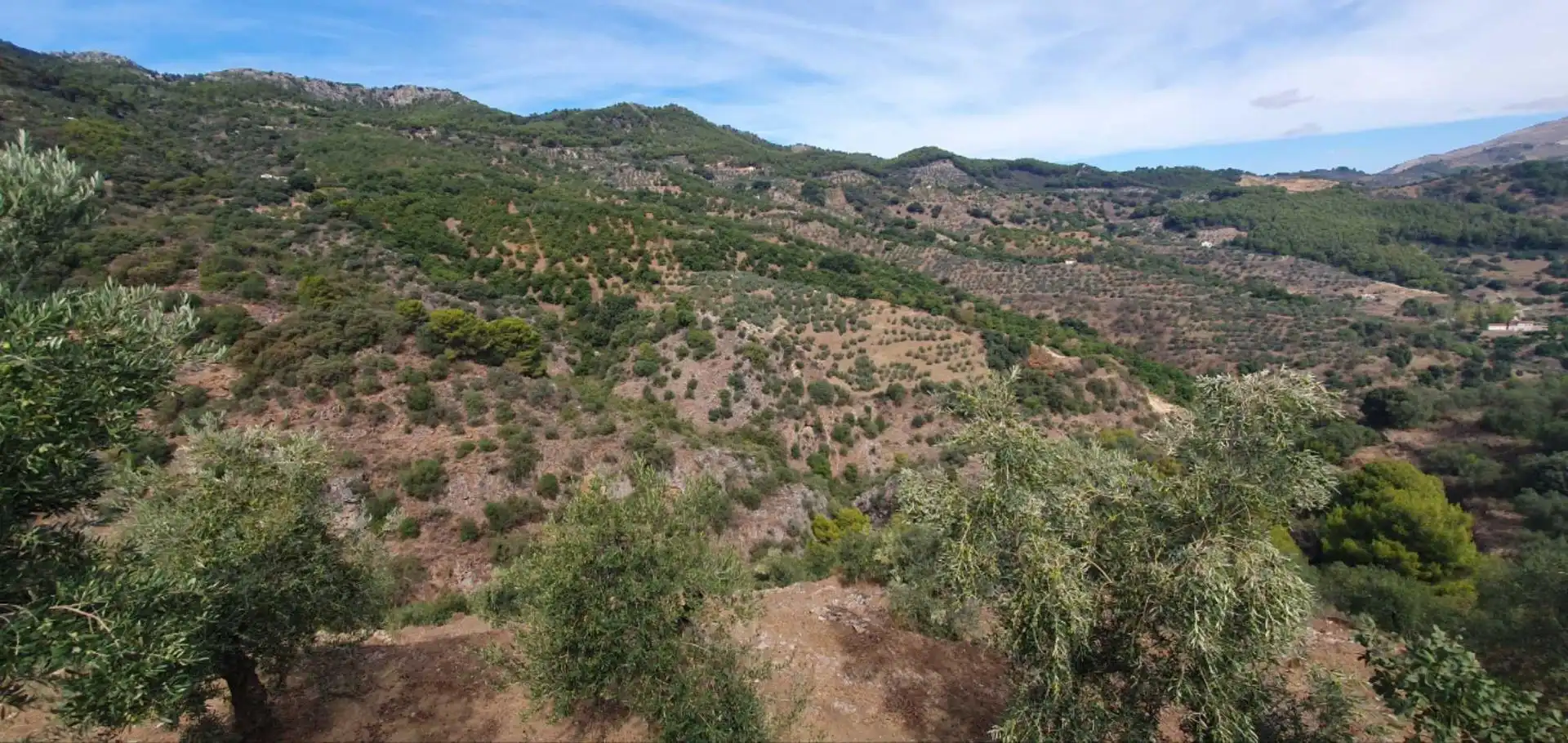 Terreni e lotti in vendita a Yunquera, imagen 12