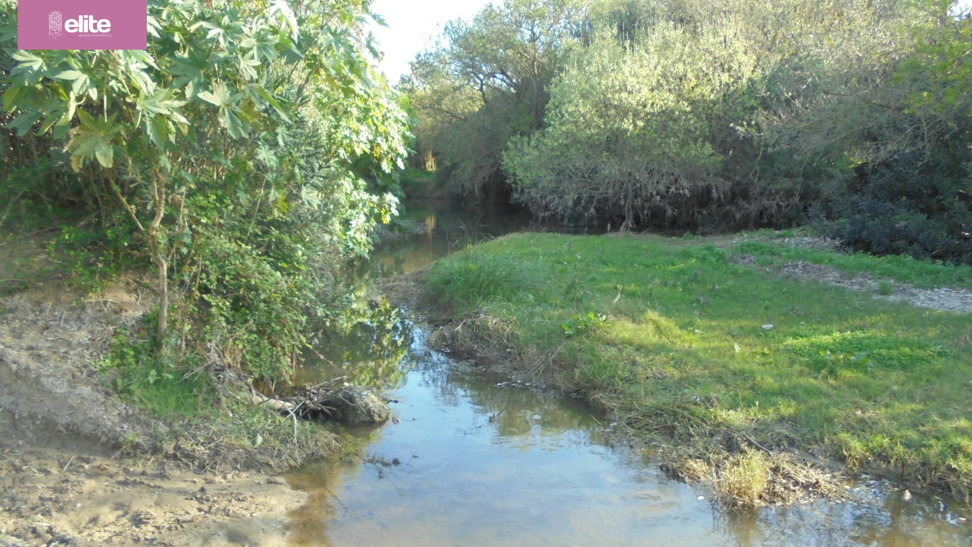 Country house zum verkauf in Alcalá de los Gazules