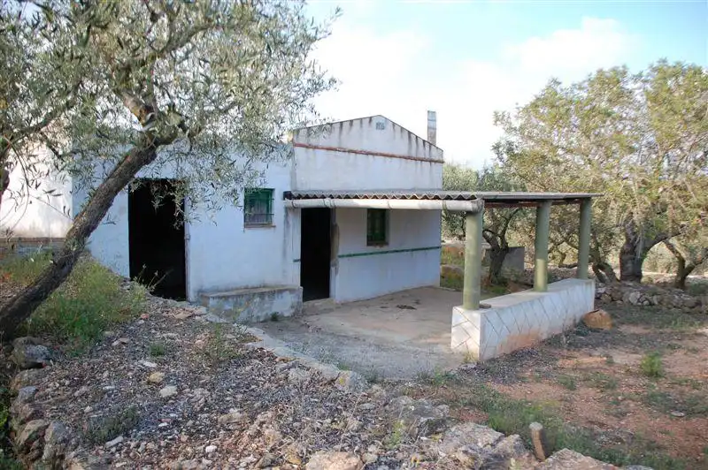 Vista exterior de Finca rústica en venda en El Perelló