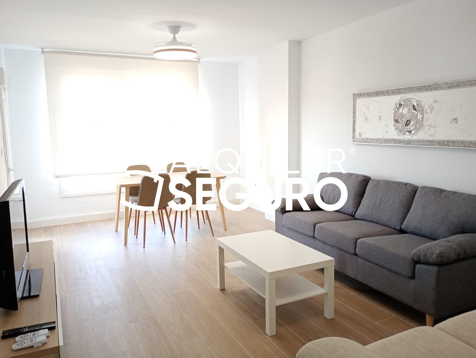 Living room of Flat to rent in Málaga Capital  with Terrace and Furnished