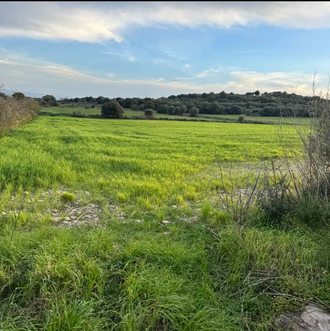 Terreno en venta en Vilafranca de Bonany