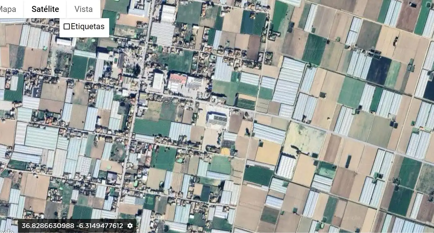 Rustikales Grundstück zum Verkauf in La Algaida, imagen 2