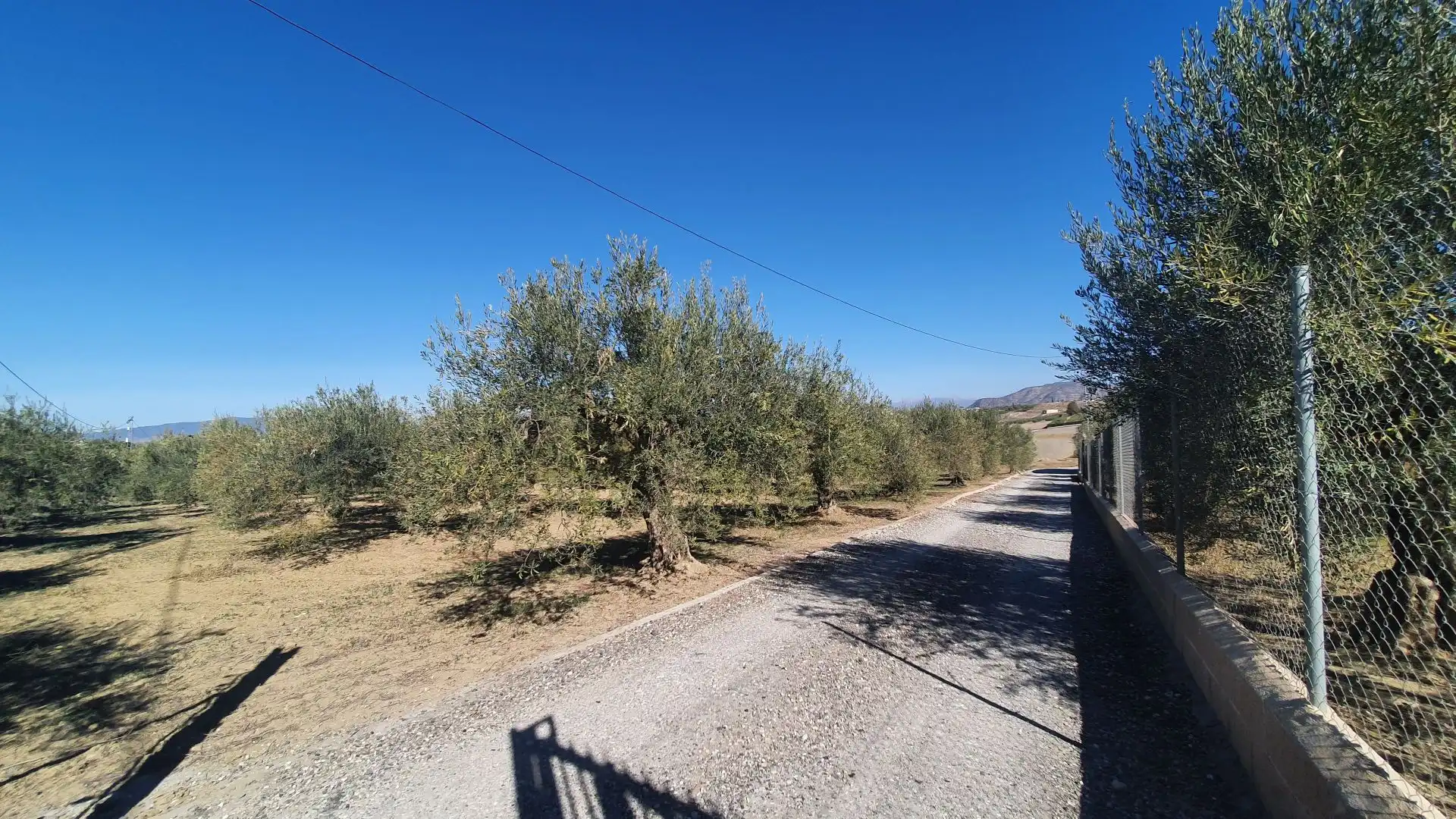 Terreni e lotti in vendita a Centro, imagen 12
