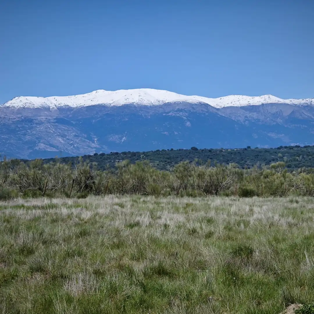Vista exterior de Terreno en venta en Navamorcuende