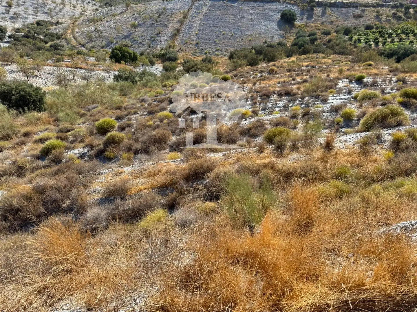 Grundstücke zum Verkauf in Vélez de Benaudalla