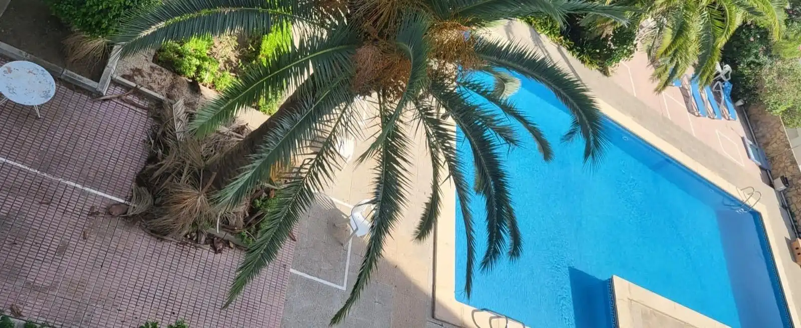 Piscina de Pis en venda en  Palma de Mallorca