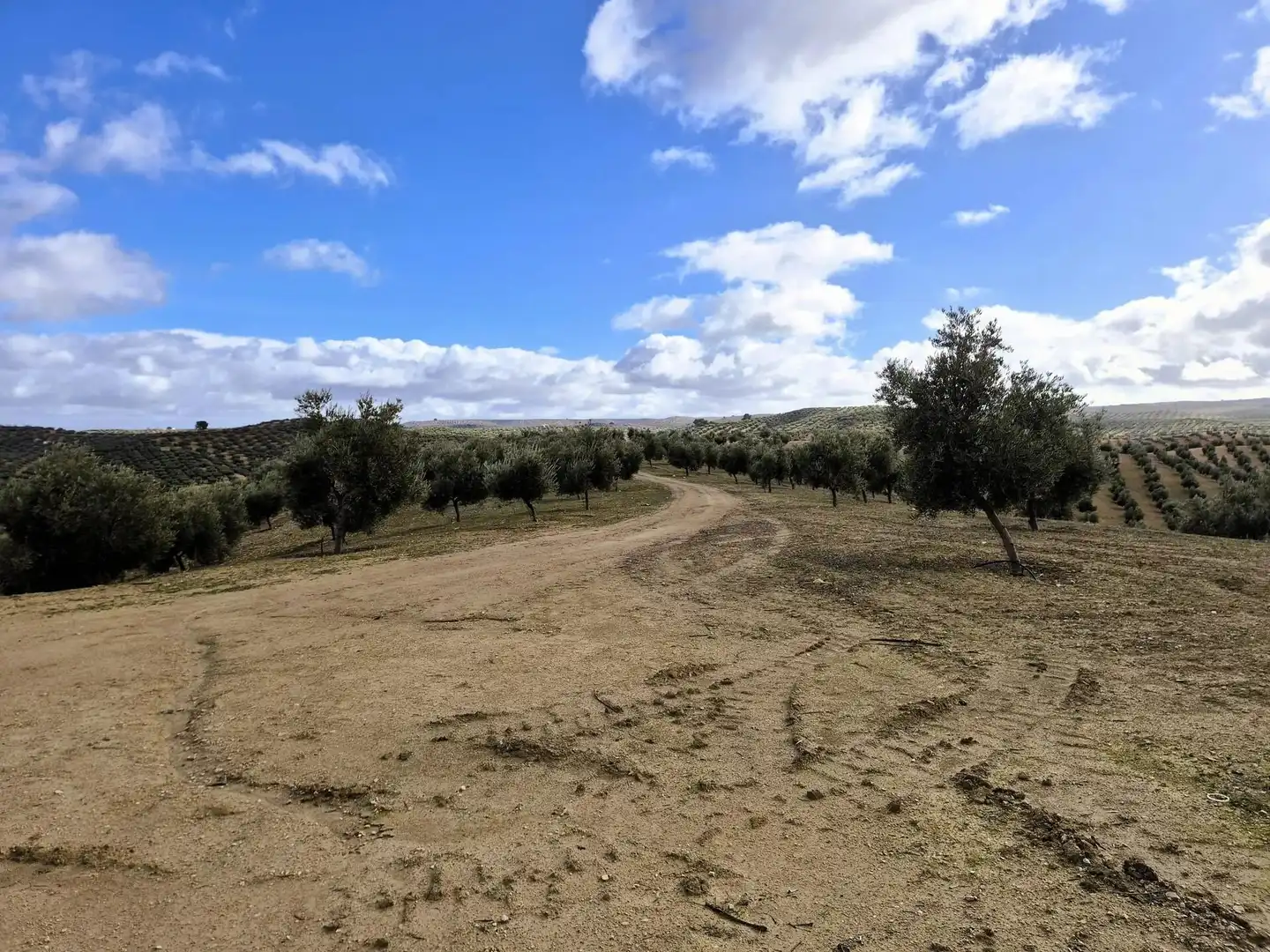 Terreno rústico en venta en Salar, imagen 13