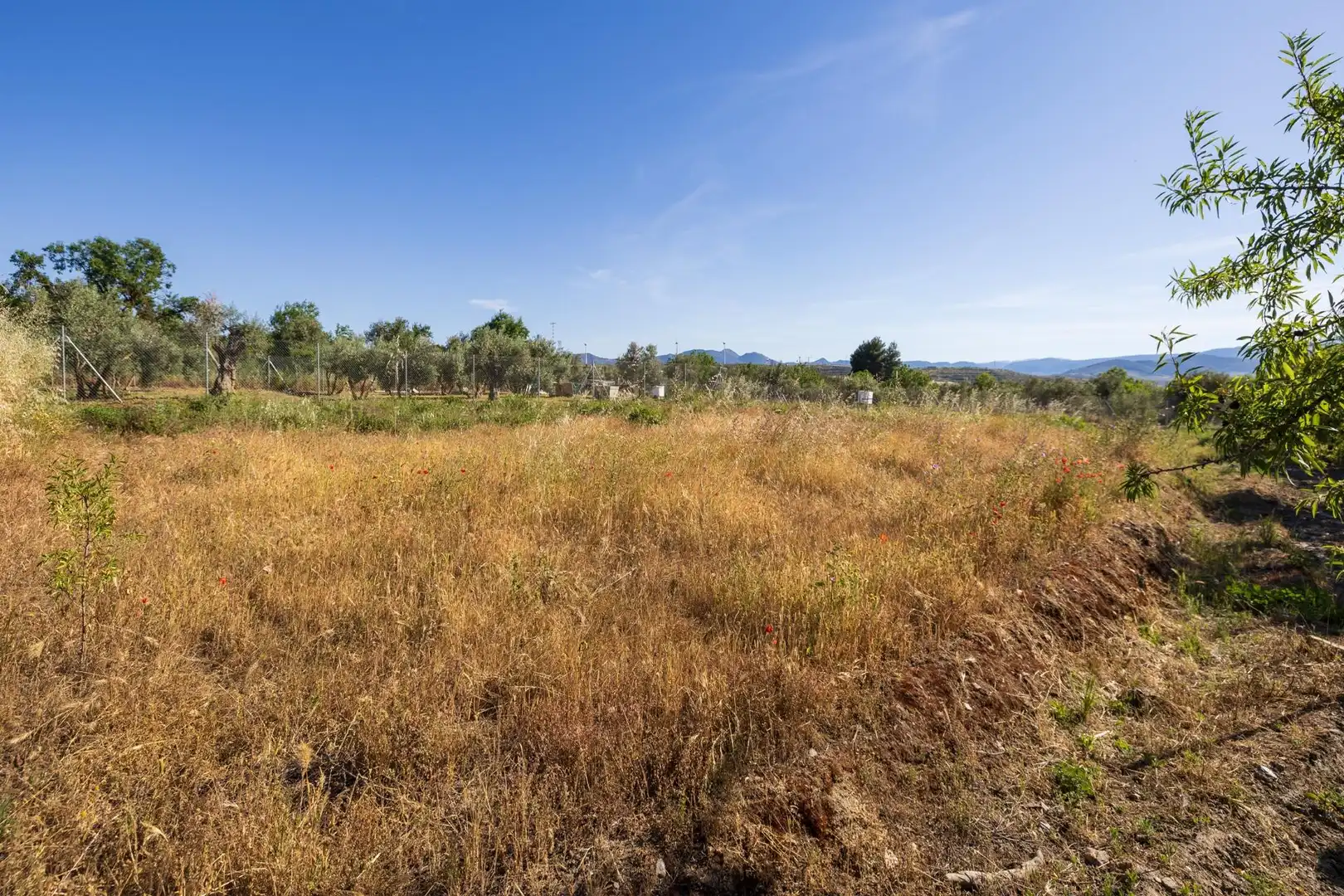 Rural land for sale in Dúrcal, imagen 16