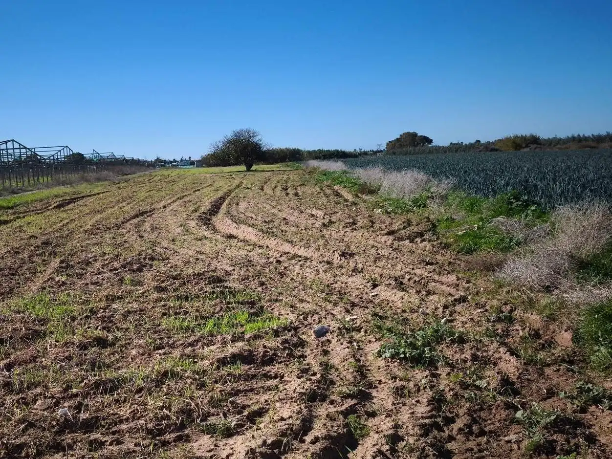 Terreno rustico in vendita a Las Tres Piedras - Costa Ballena, imagen 7