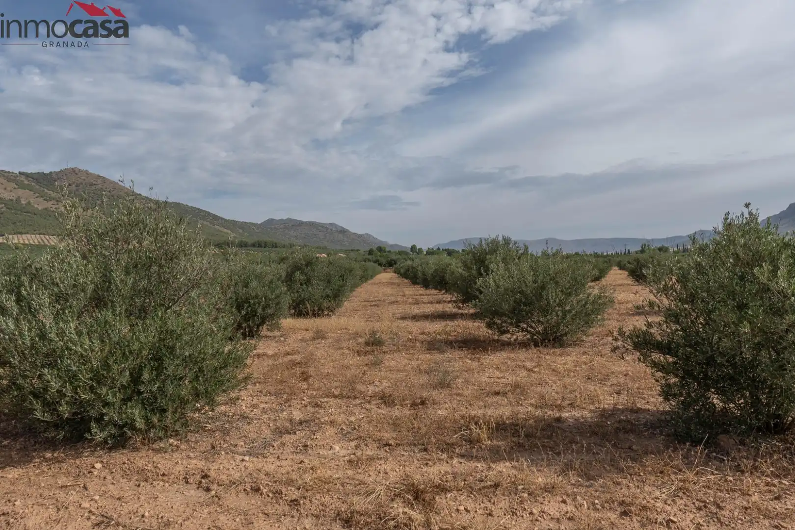 Casa o chalet en venta en Huéscar