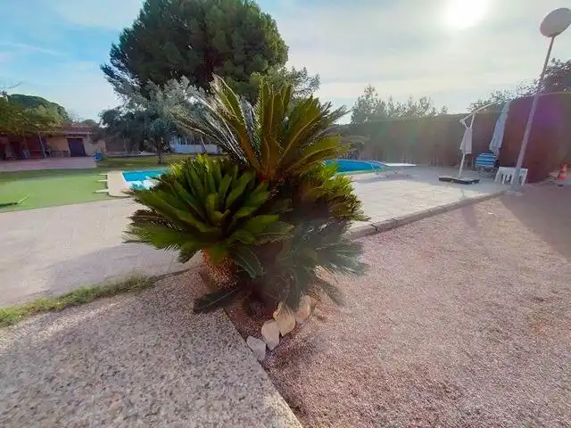 Swimming pool of Houses for sale in Alicante / Alacant  with Private garden, Terrace and Swimming Pool