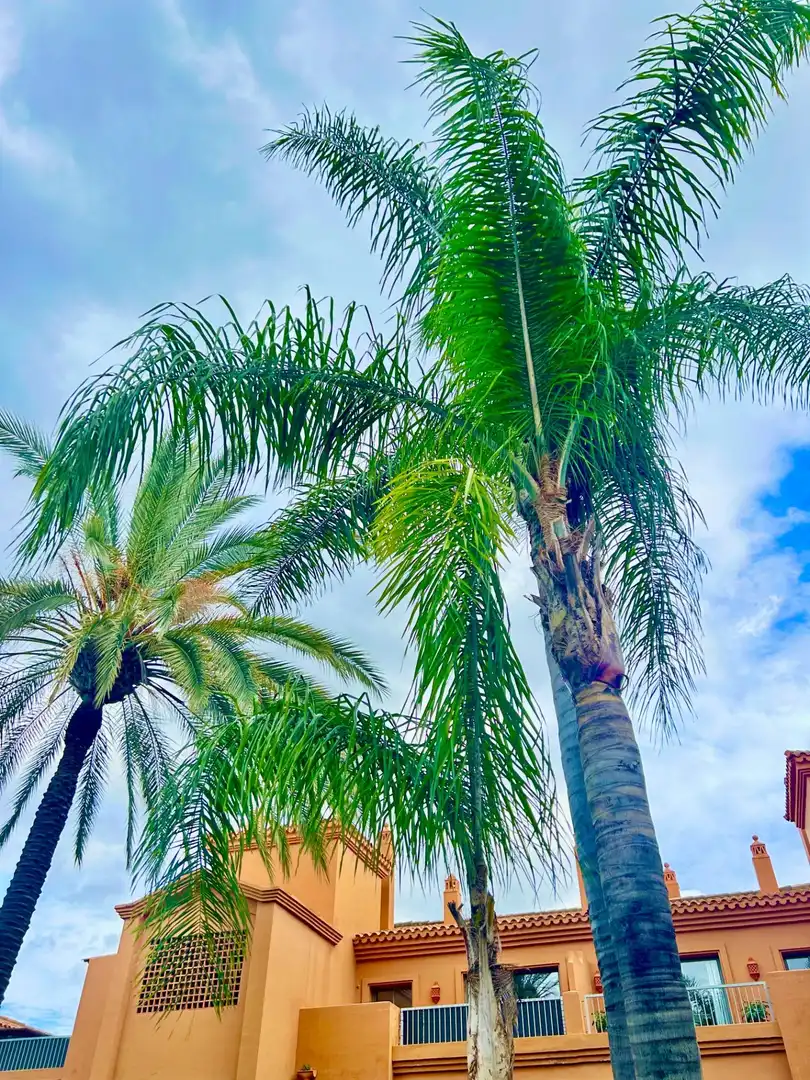 Vista exterior de Casa adosada en venta en Estepona con Aire acondicionado, Jardín privado y Amueblado