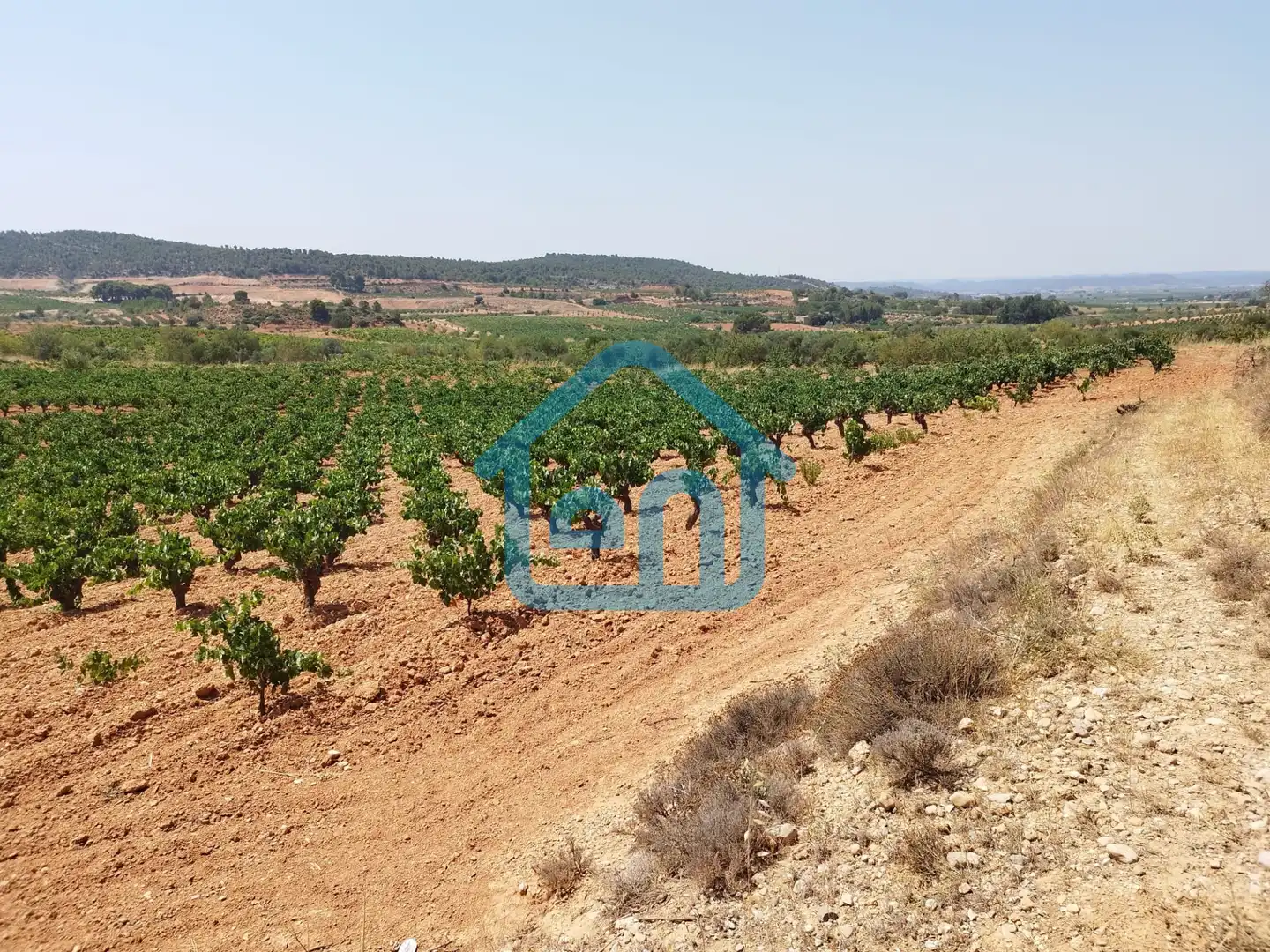Terreno rustico in vendita a Requena, imagen 11