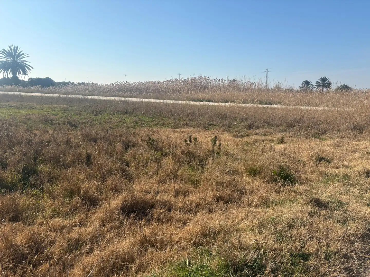Terrain rustique à vendre à La Foia - Daimés - Asprella, imagen 6