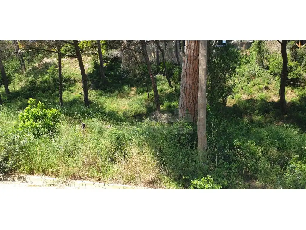 Terrain résidentiel à vendre à Platja de Pals, imagen 6