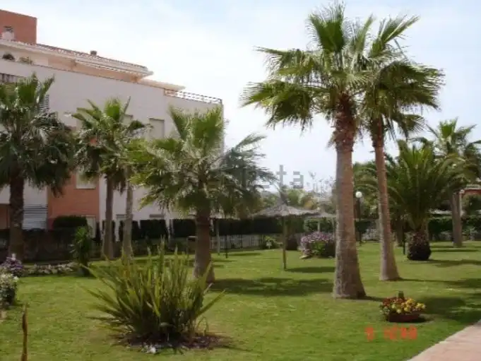 Appartamento con piscina in vendita a Agua azucarillo y aguardiente 2