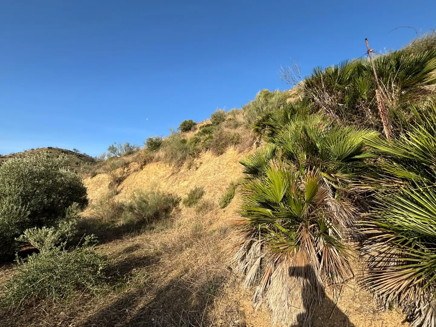 Vista exterior de Terreno en venta en Cártama